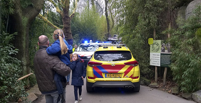 Jongen gewond door val in vleermuisgrot Blijdorp