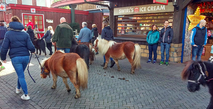 Einde van een tijdperk: pony's nu echt weg uit Slagharen