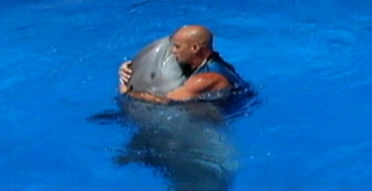 Omstreden dolfijnentrainer dood gevonden, politie denkt aan zelfmoord