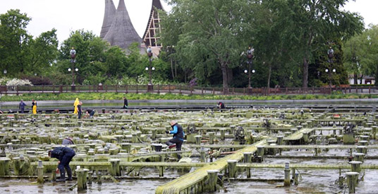 Groot onderhoud in de Efteling: drie attracties in de steigers